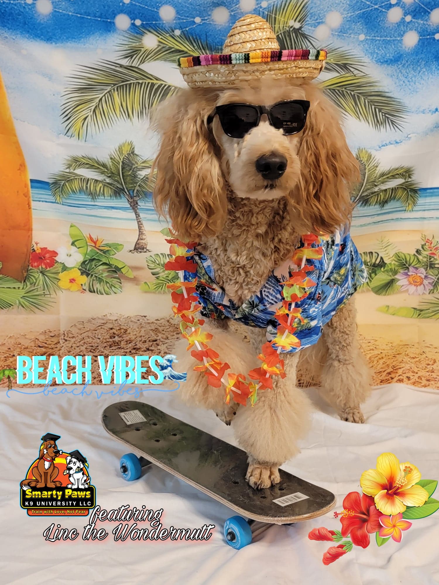 Pet photography by Smarty Paws K9 University — family photo, Washington County PA