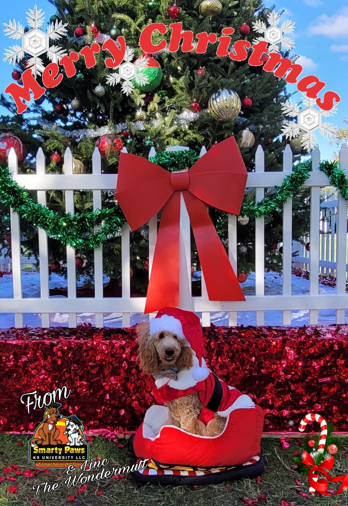 Pet photography by Smarty Paws K9 University — family photo, Washington County PA