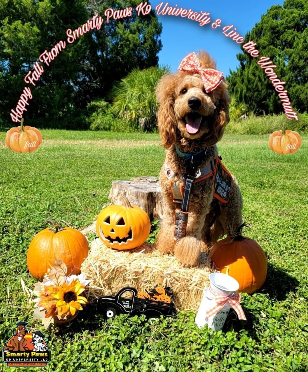 Pet photography by Smarty Paws K9 University — birthday session, Washington County PA