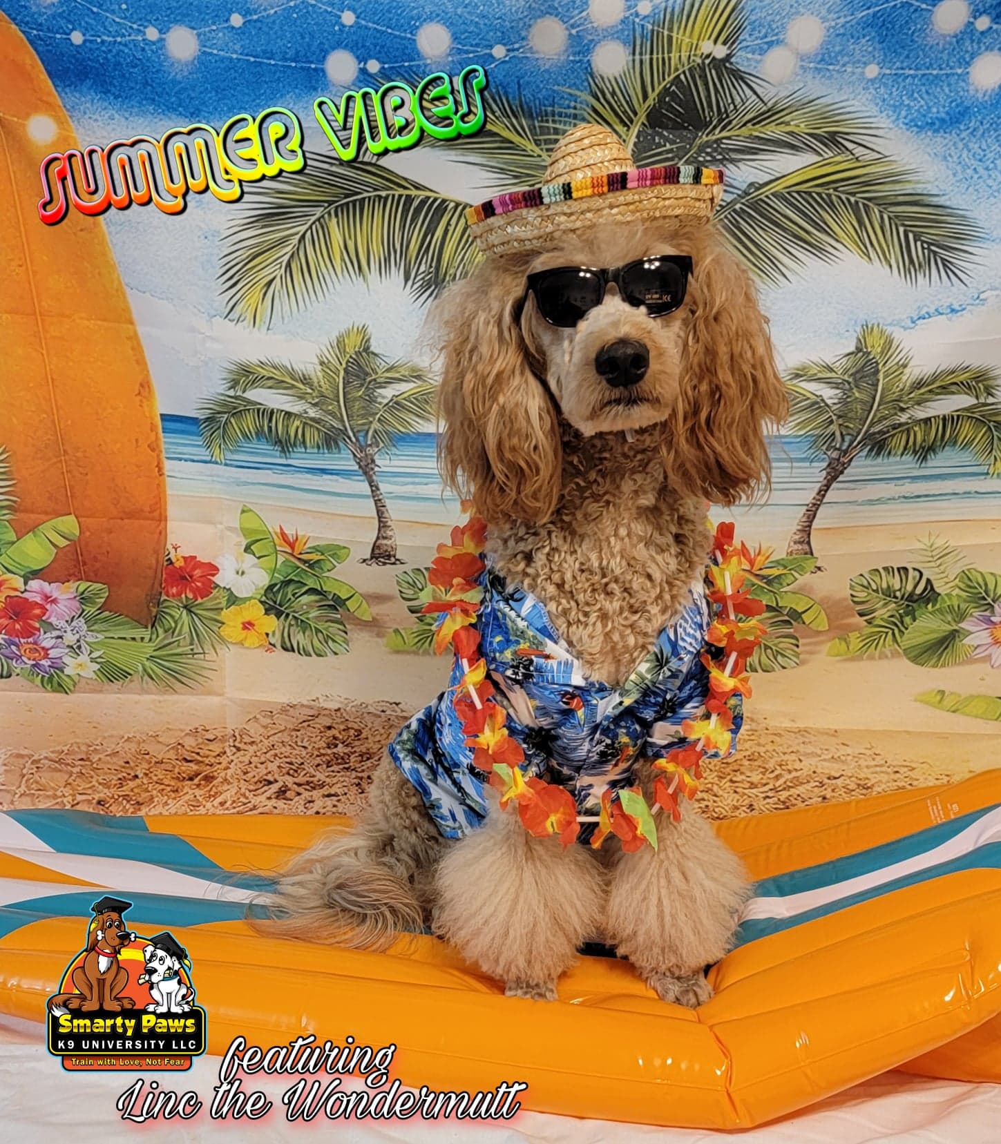 Pet photography by Smarty Paws K9 University — holiday session, Washington County PA