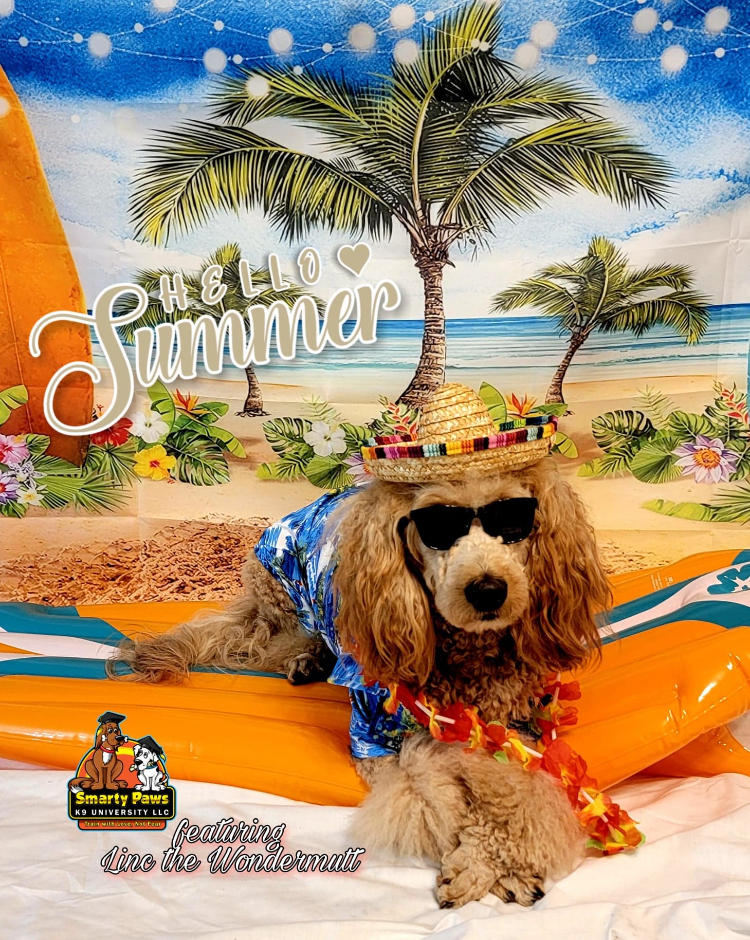 Pet photography portrait by Smarty Paws K9 University, Washington County PA