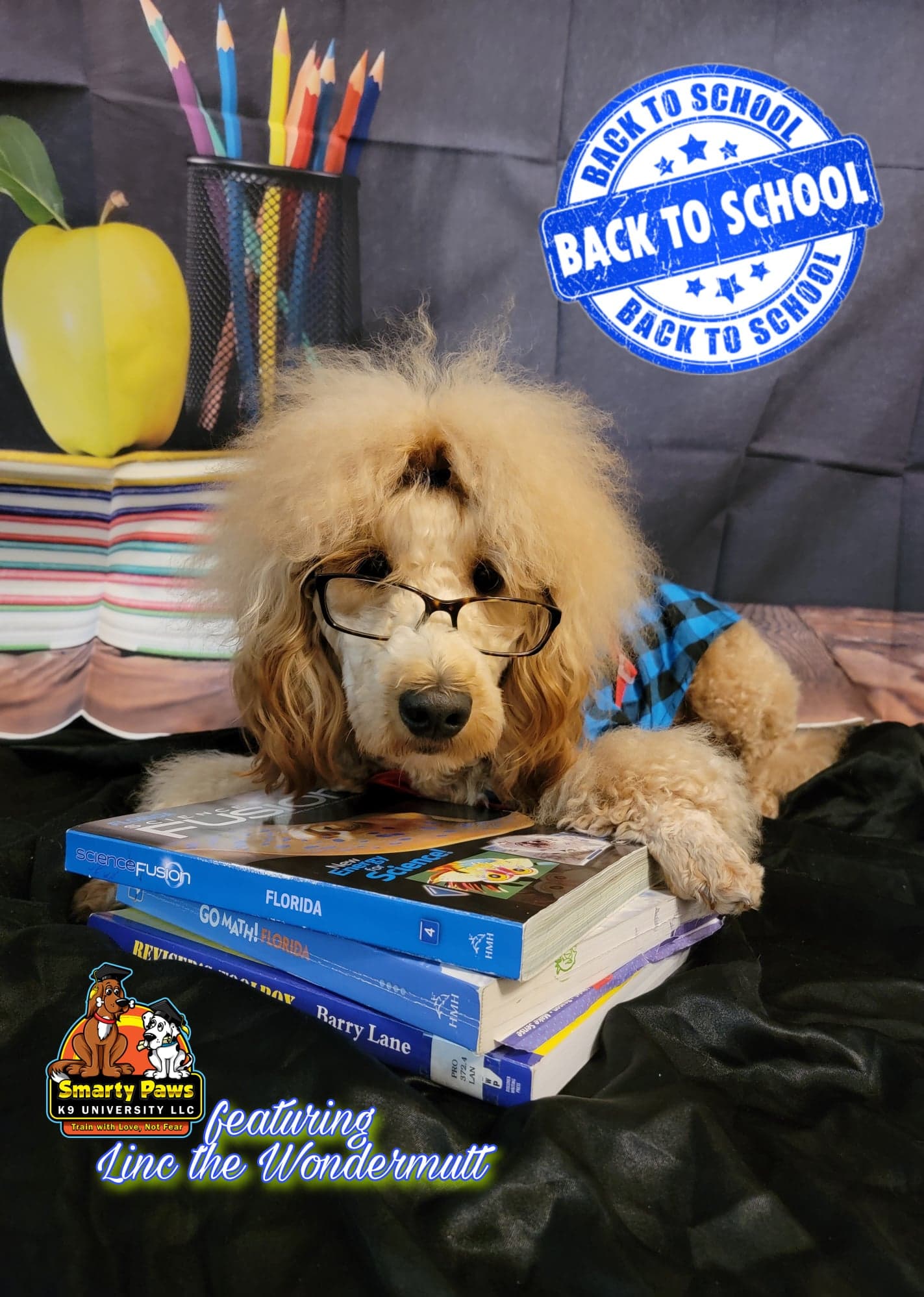 Pet photography by Smarty Paws K9 University — birthday session, Washington County PA
