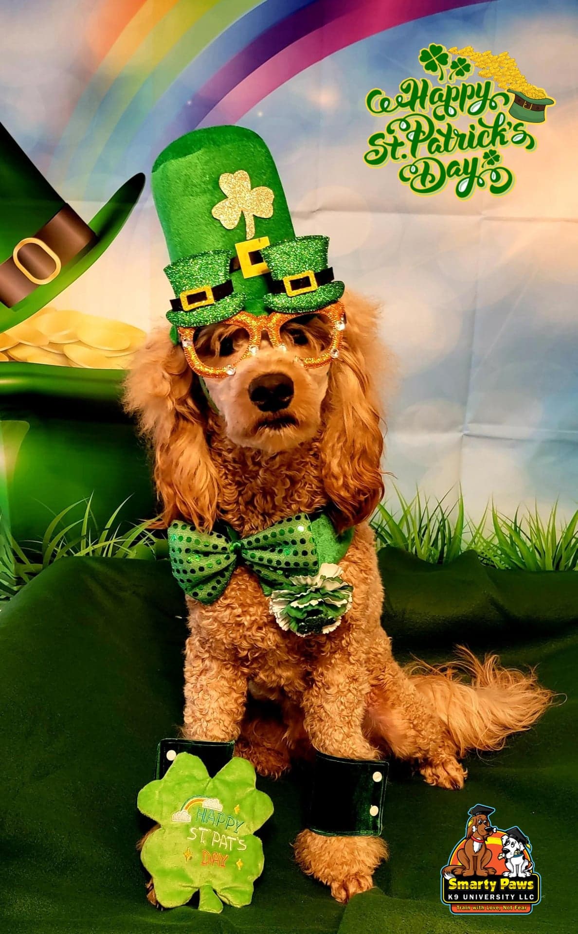 Pet photography by Smarty Paws K9 University — birthday session, Washington County PA