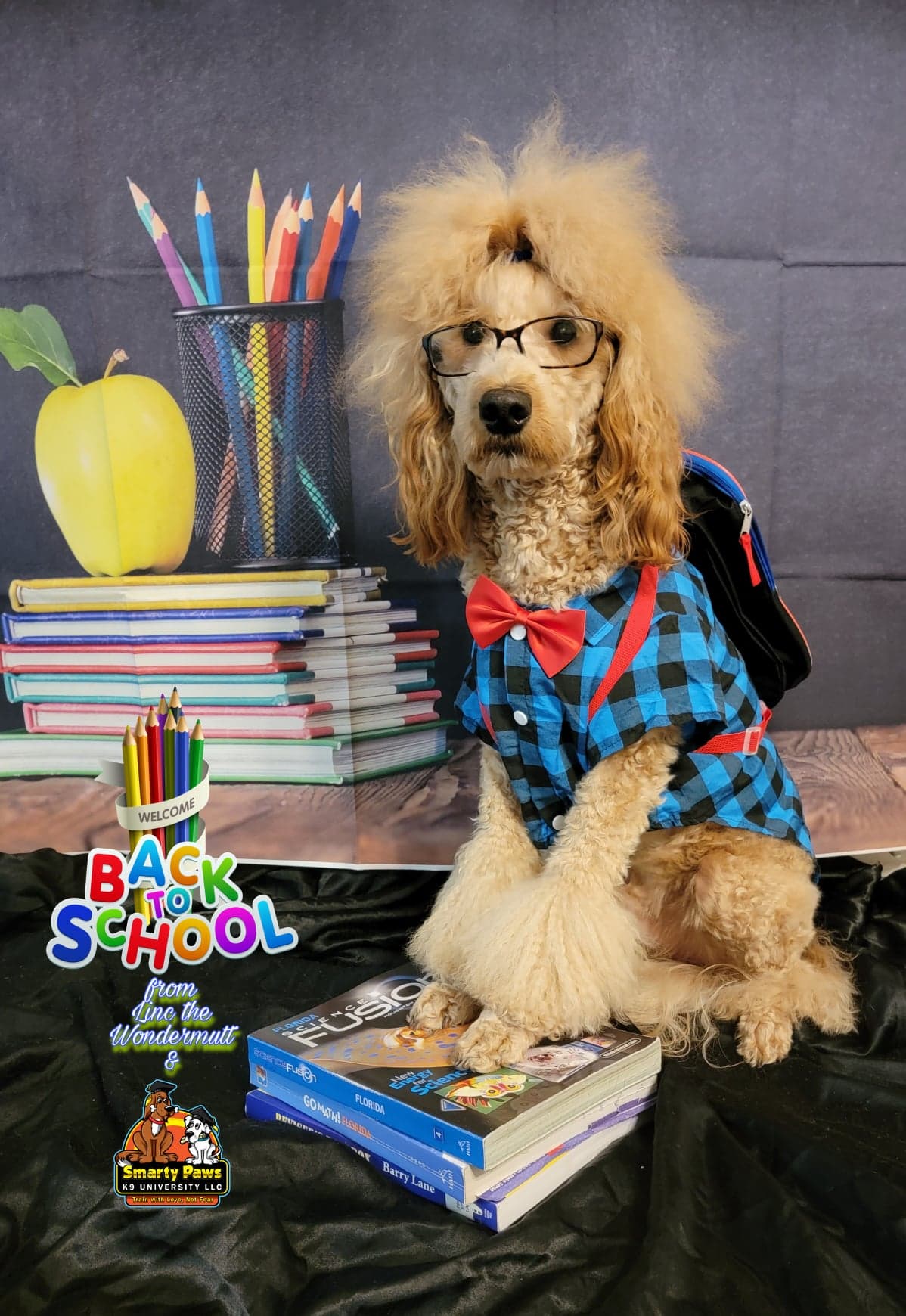 Pet photography by Smarty Paws K9 University — outdoor portrait, Washington County PA
