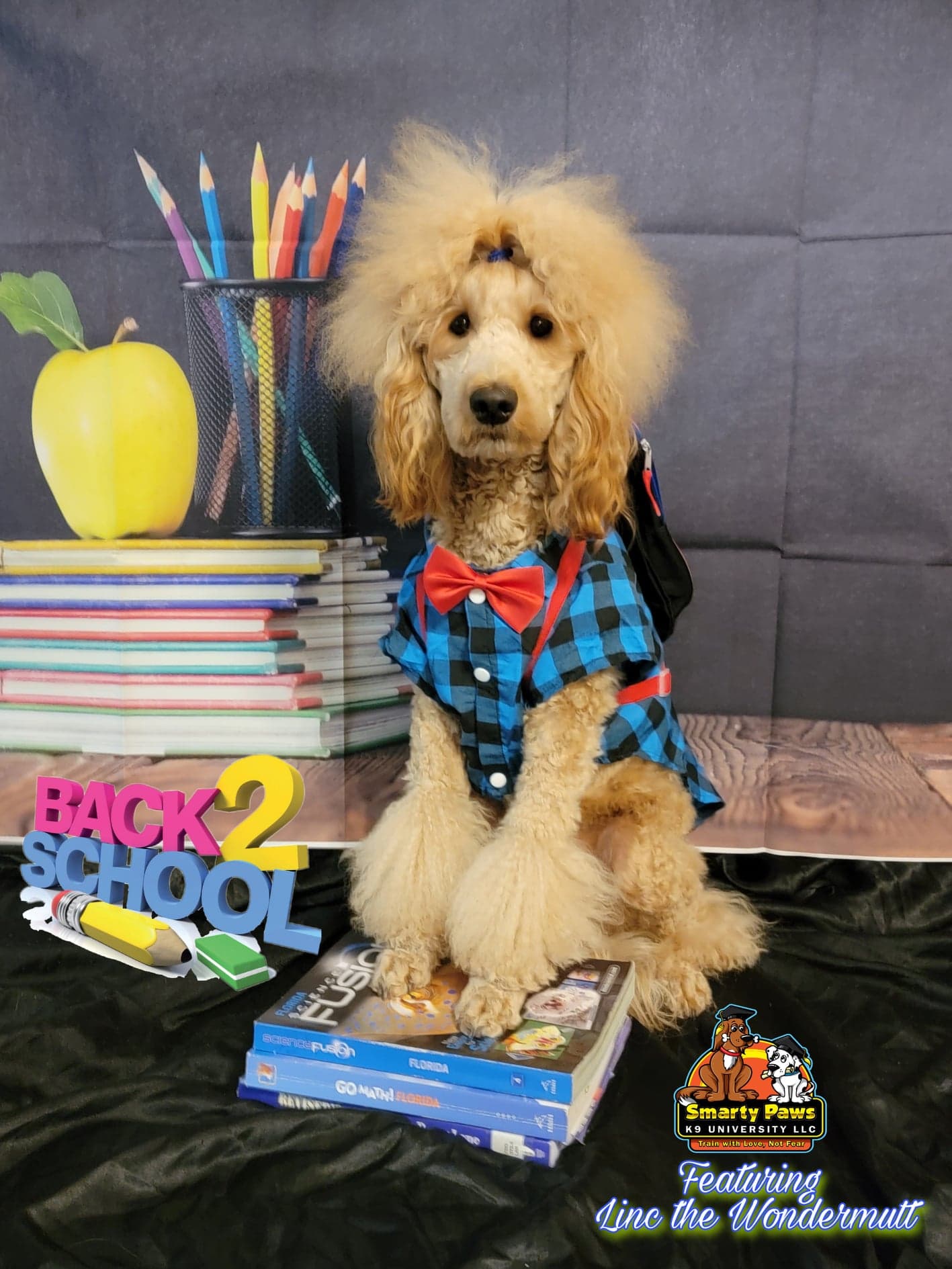 Pet photography by Smarty Paws K9 University — holiday session, Washington County PA