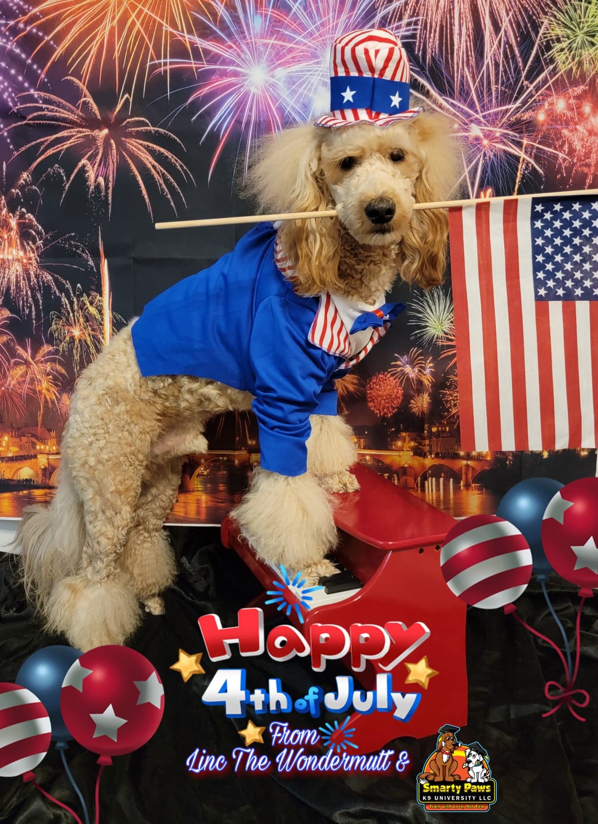Pet photography by Smarty Paws K9 University — studio backdrop, Washington County PA
